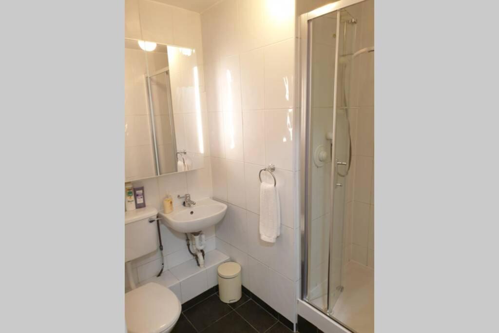 Large 3 Bed, Galway City Centre Lejlighed Eksteriør billede